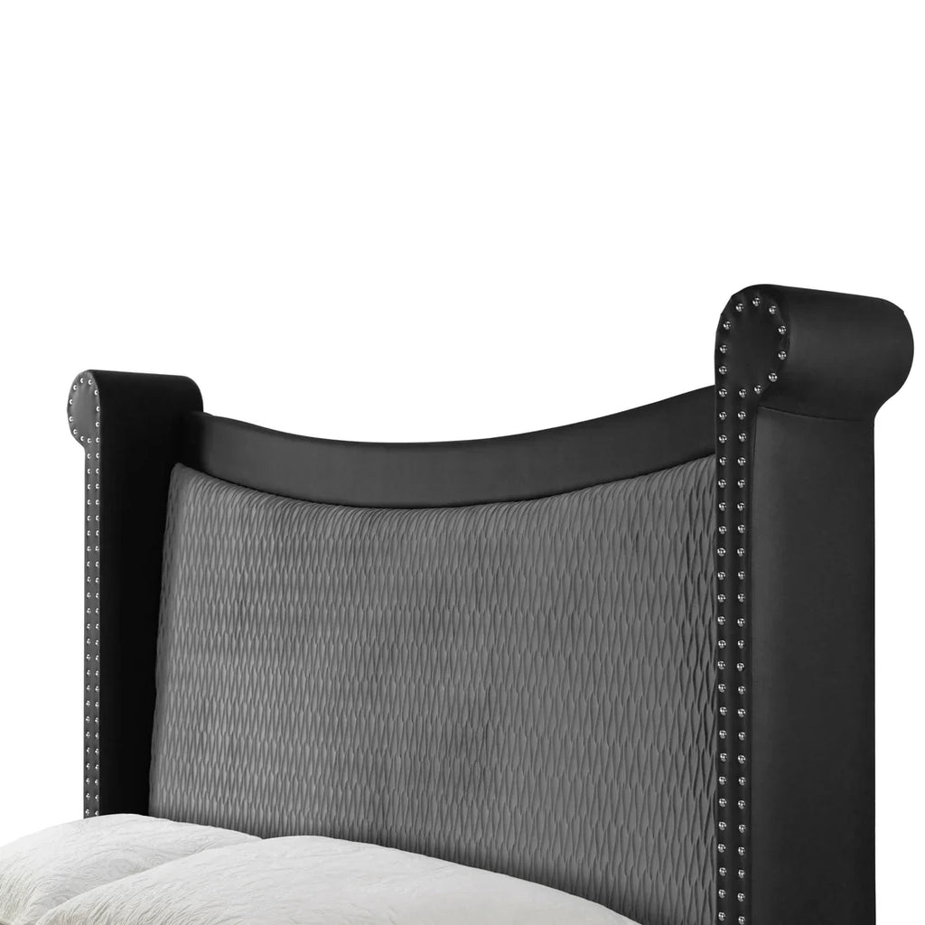 Black Upholstered Queen Bed with Nail Heads