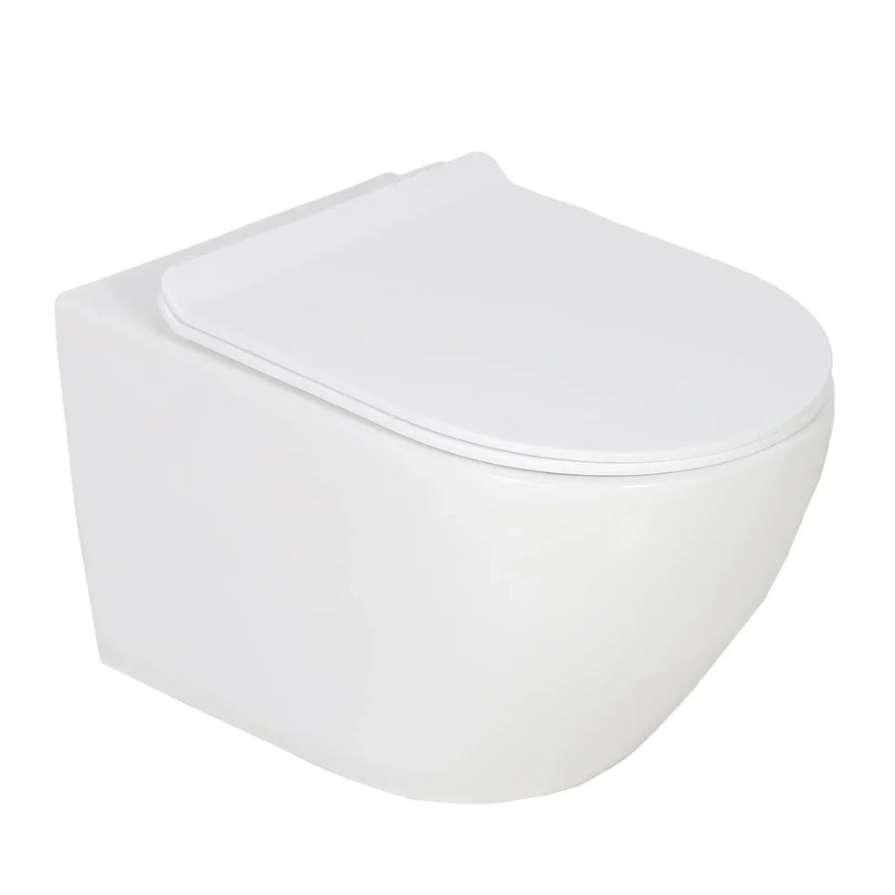 Valentia Dual Flush Elongated Wall-Hung Toilet in Matte White