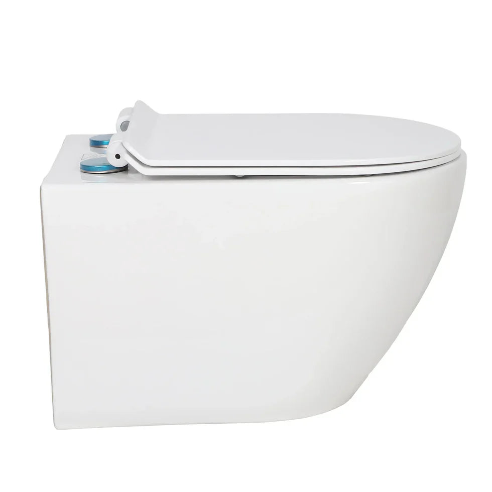 Valentia Dual Flush Elongated Wall-Hung Toilet in Matte White