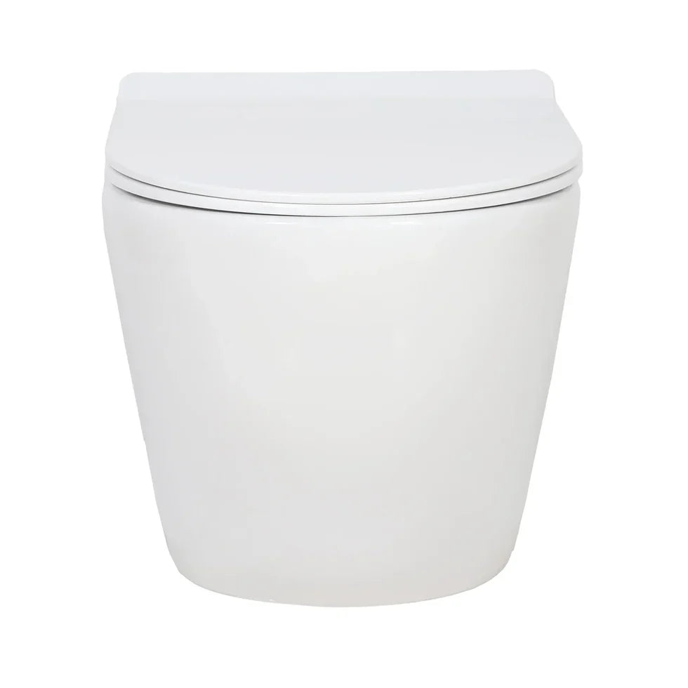 Valentia Dual Flush Elongated Wall-Hung Toilet in Matte White
