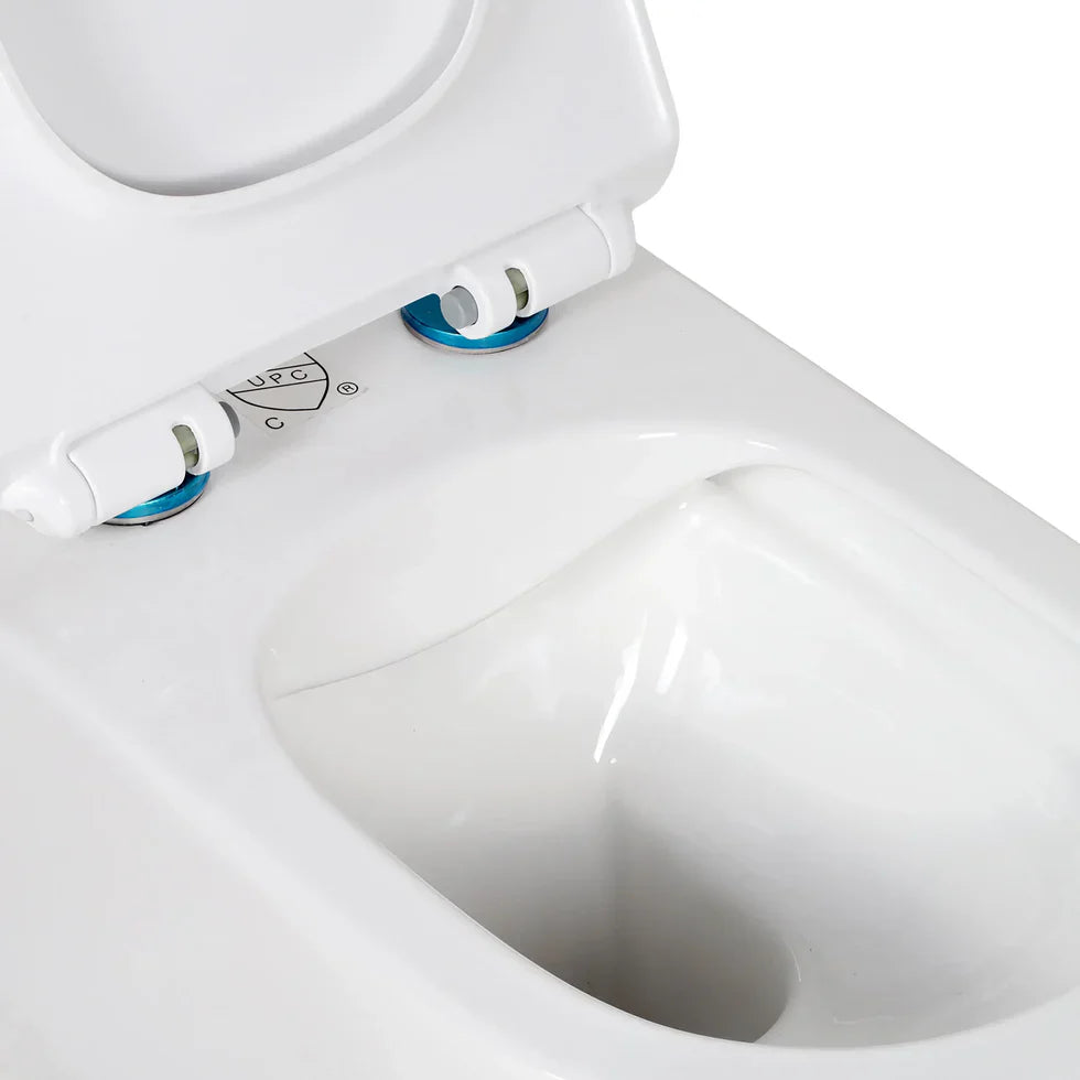 Valentia Dual Flush Elongated Wall-Hung Toilet in Matte White