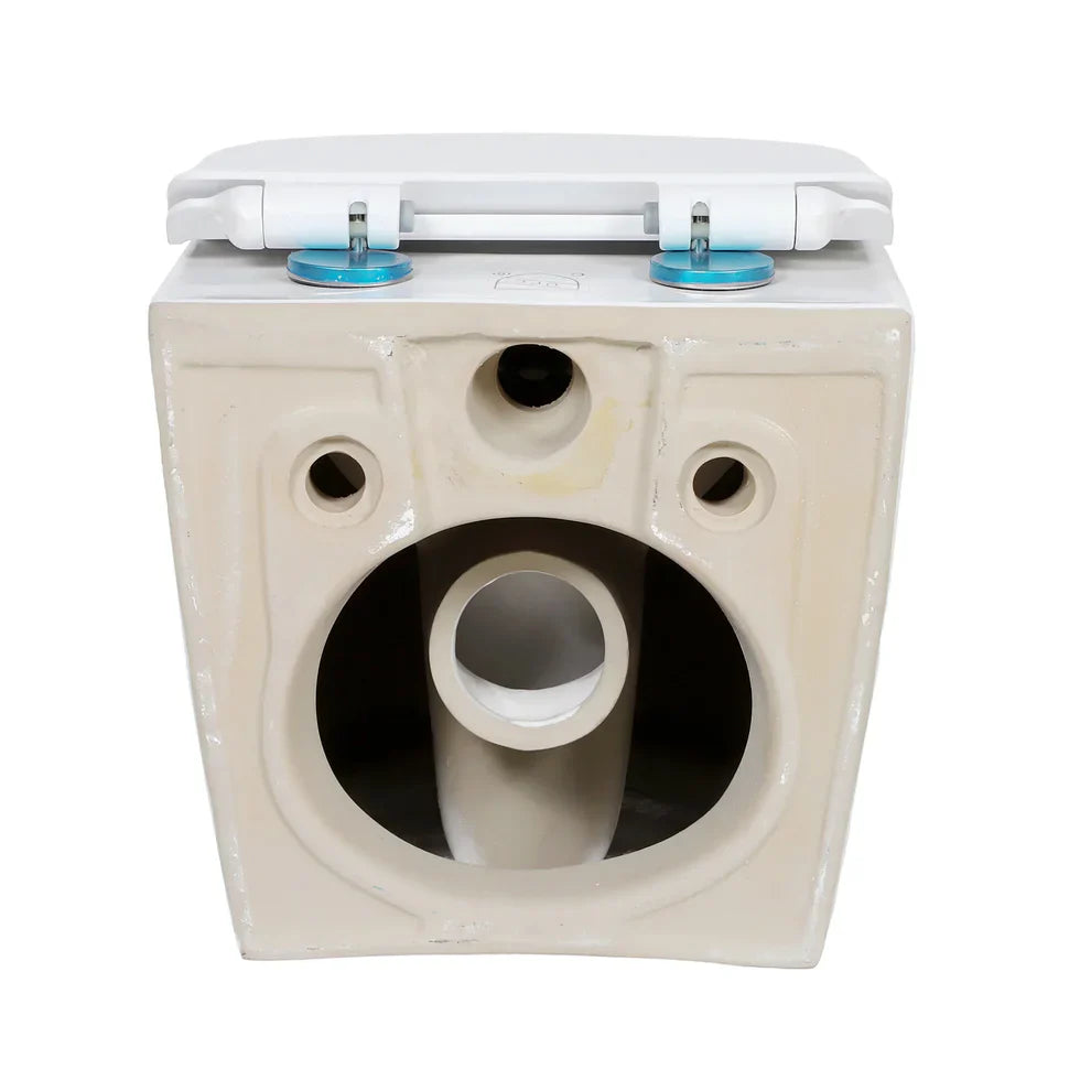Valentia Dual Flush Elongated Wall-Hung Toilet in Matte White