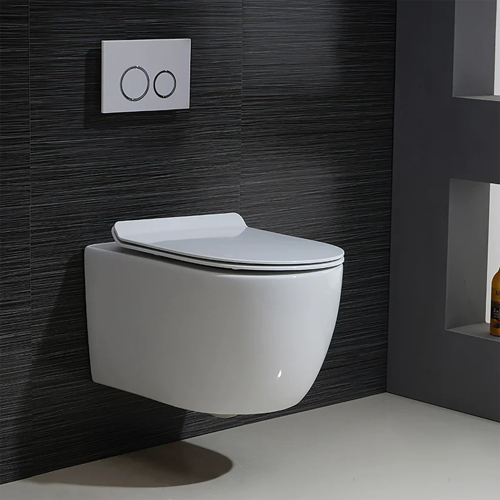 Valentia Dual Flush Elongated Wall-Hung Toilet in Matte White