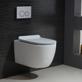 Valentia Dual Flush Elongated Wall-Hung Toilet in Matte White