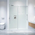 Apollo Frameless Double Roller Shower Door in Stainless Steel